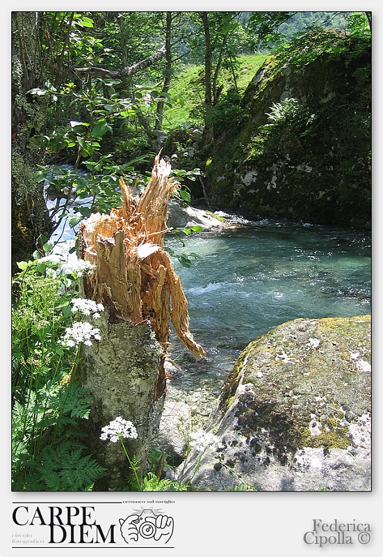 VAL DI MELLO 030.jpg